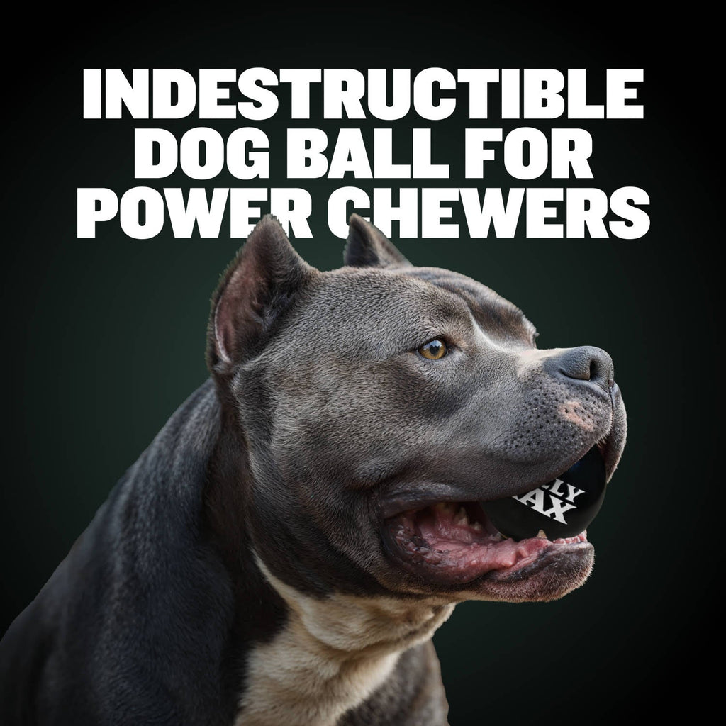 Heavy-Duty Rubber Dog Ball product image 2