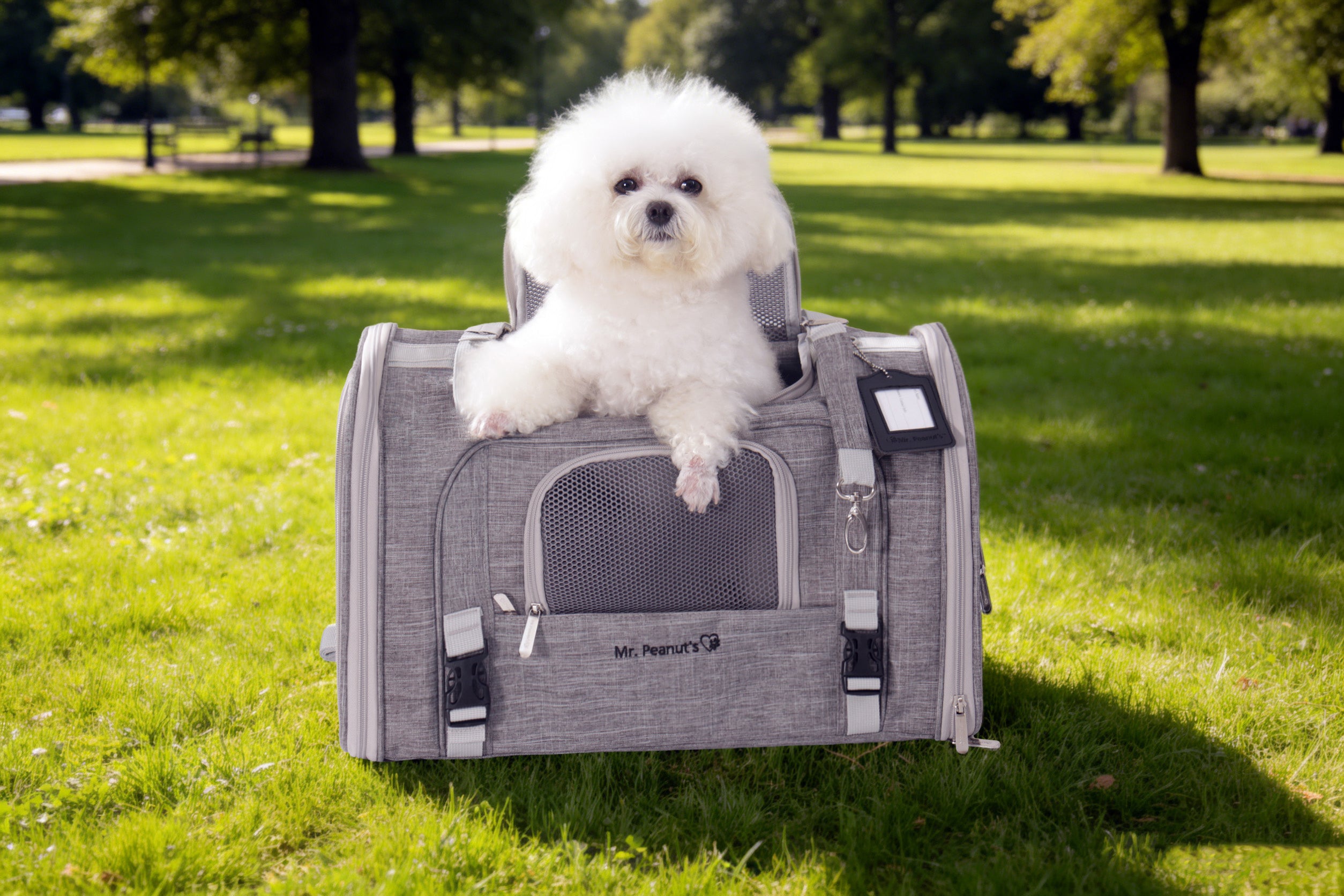 Horizontal Backpack Pet Carrier product image 6