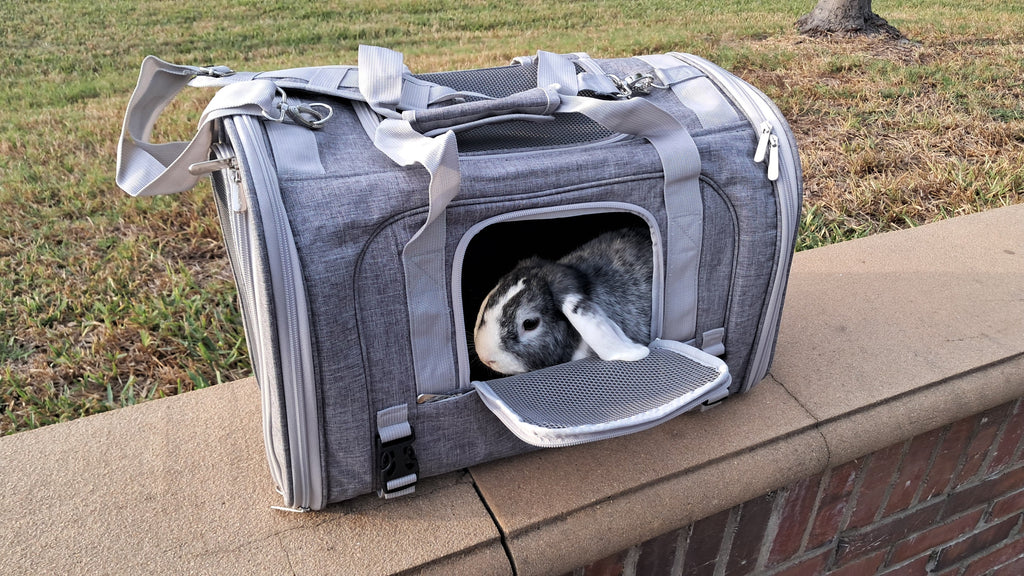 Horizontal Backpack Pet Carrier product image 40