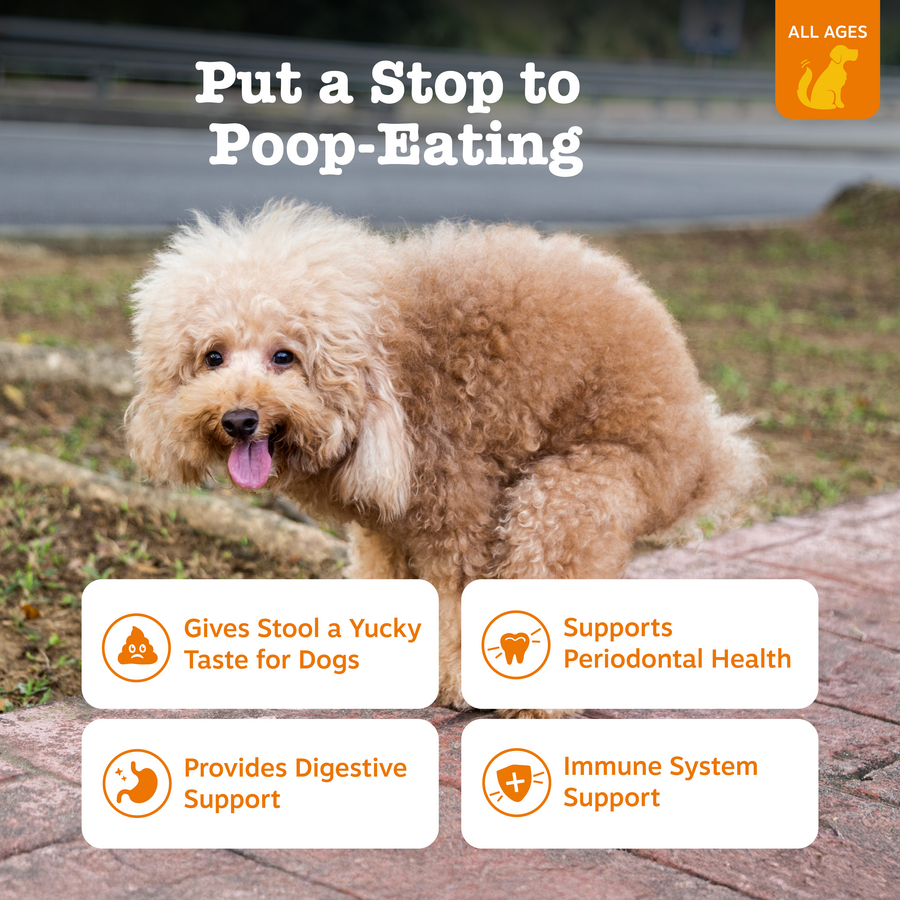 Dog Stool Eating Supplement product image 4