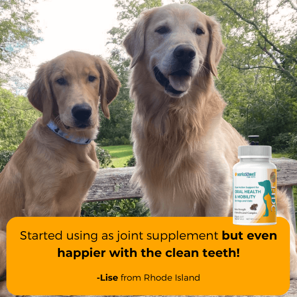 Dog Oral Health and Mobility Support Supplement product image 7
