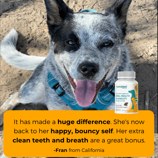 Dog Oral Health and Mobility Support Supplement product image 8
