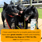 Dog Oral Health and Mobility Support Supplement product image 9