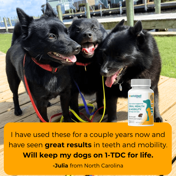 Dog Oral Health and Mobility Support Supplement product image 9