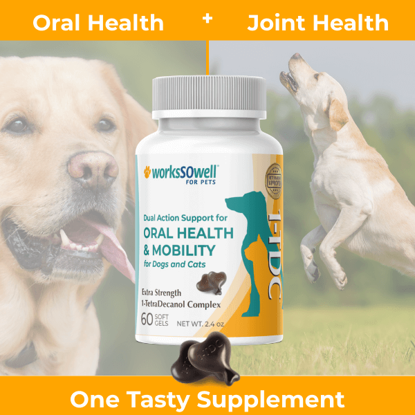 Dog Oral Health and Mobility Support Supplement product image 14
