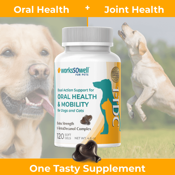 Dog Oral Health and Mobility Support Supplement product image 15