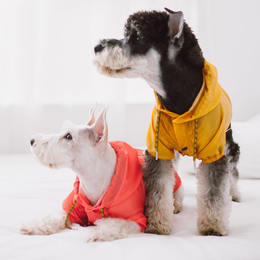 Waterproof Dog Raincoat product image 3