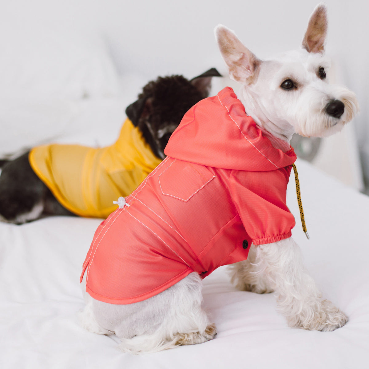 Waterproof Dog Raincoat product image 4