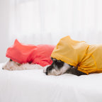 Waterproof Dog Raincoat product image 6