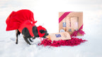 Dog Treat Gift Box product image 2