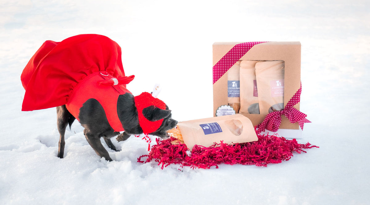 Dog Treat Gift Box product image 2