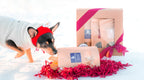 Dog Treat Gift Box product image 3