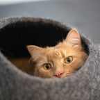 Cat Cave product image 11