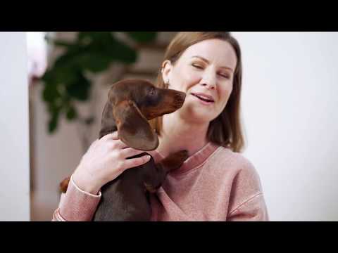 Puppy Food Bundle product image 7