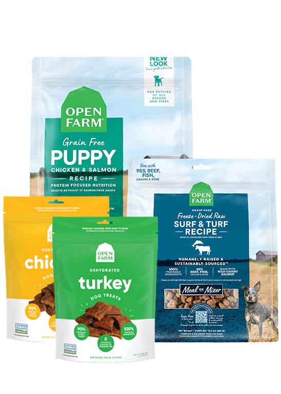 Puppy Food Bundle product image 1