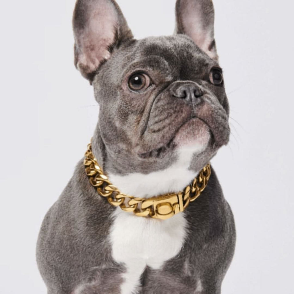 Dog Chain Collar product image 1