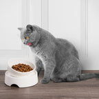 Elevated Cat Food Table product image 4