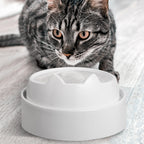 Elevated Cat Food Table product image 5