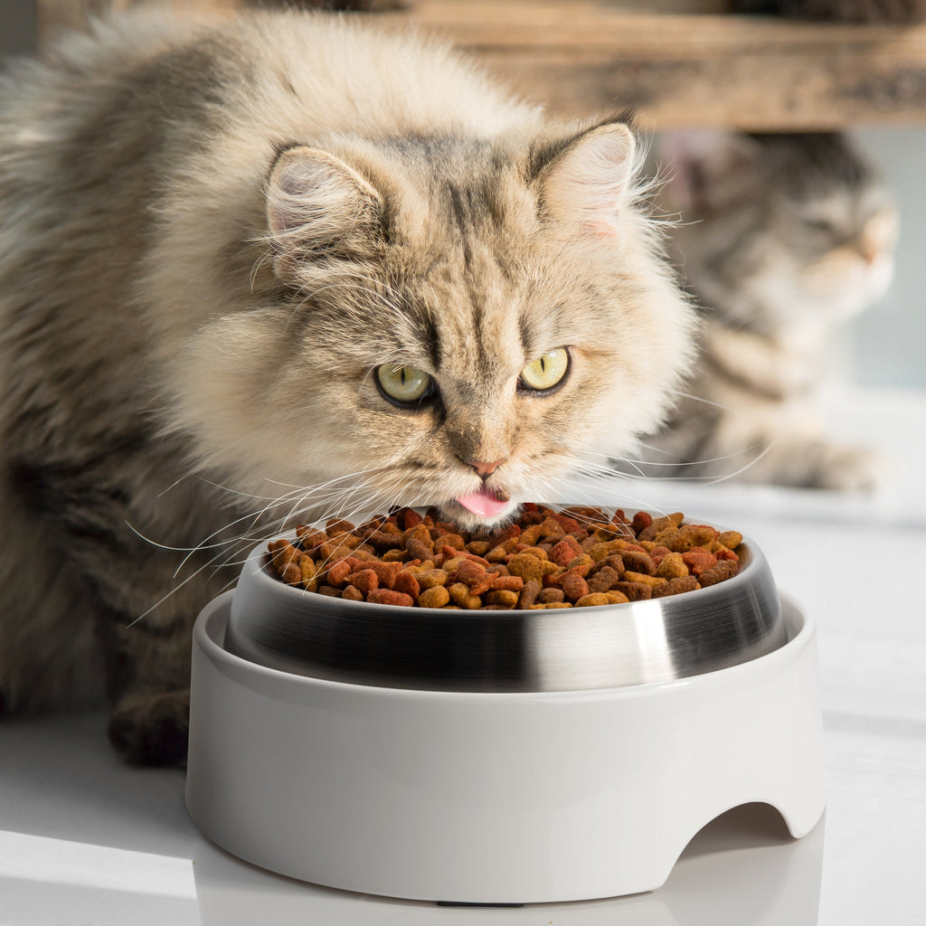 Elevated Cat Food Table product image 6