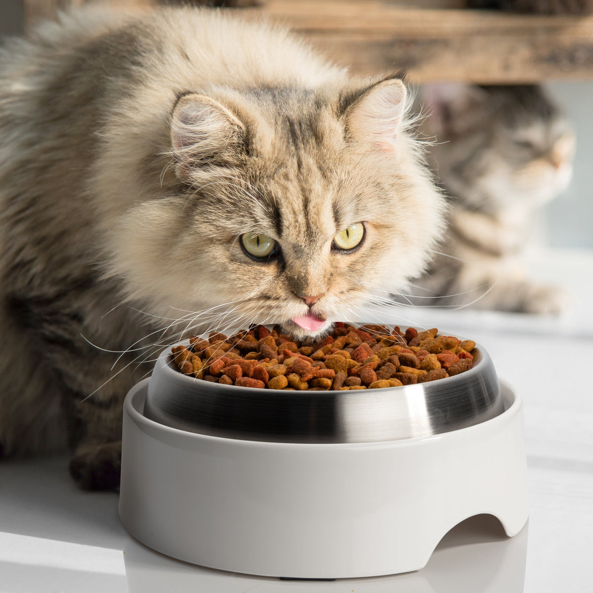Elevated Cat Food Table product image 6