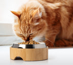 Elevated Cat Food Table product image 7