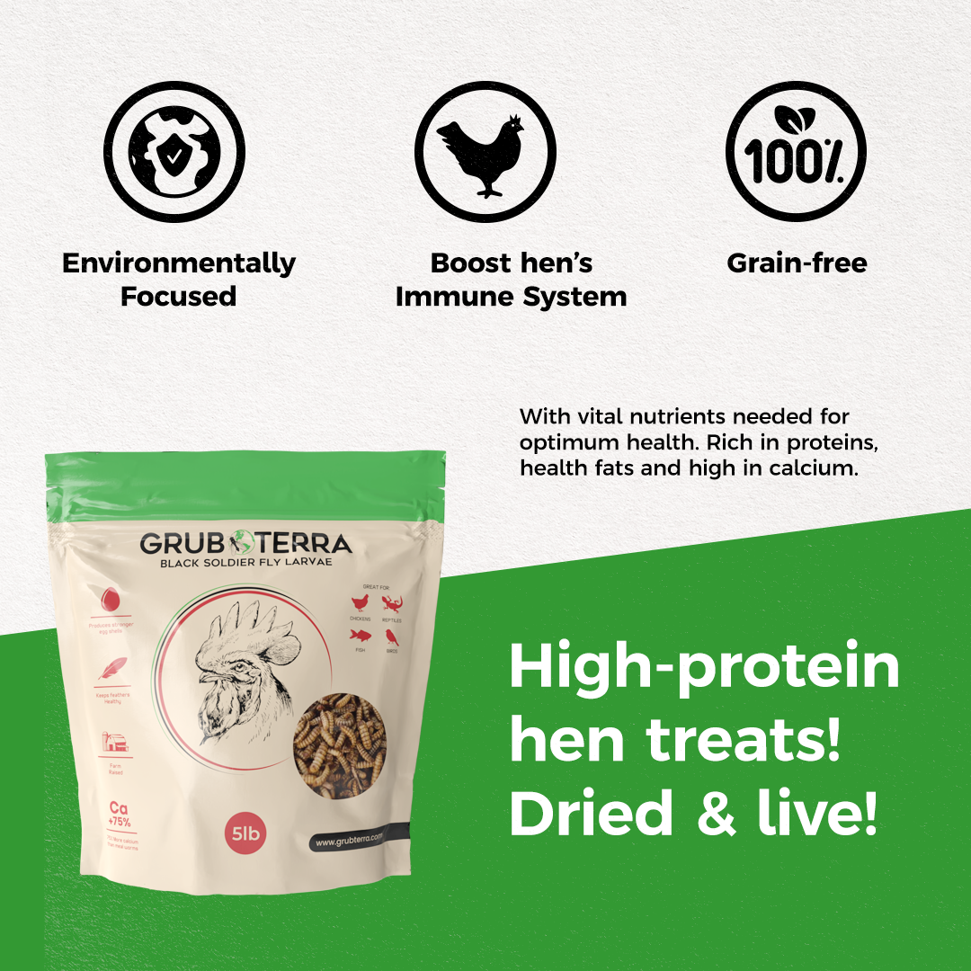 Dried Black Soldier Fly Larvae Bird Treats product image 3