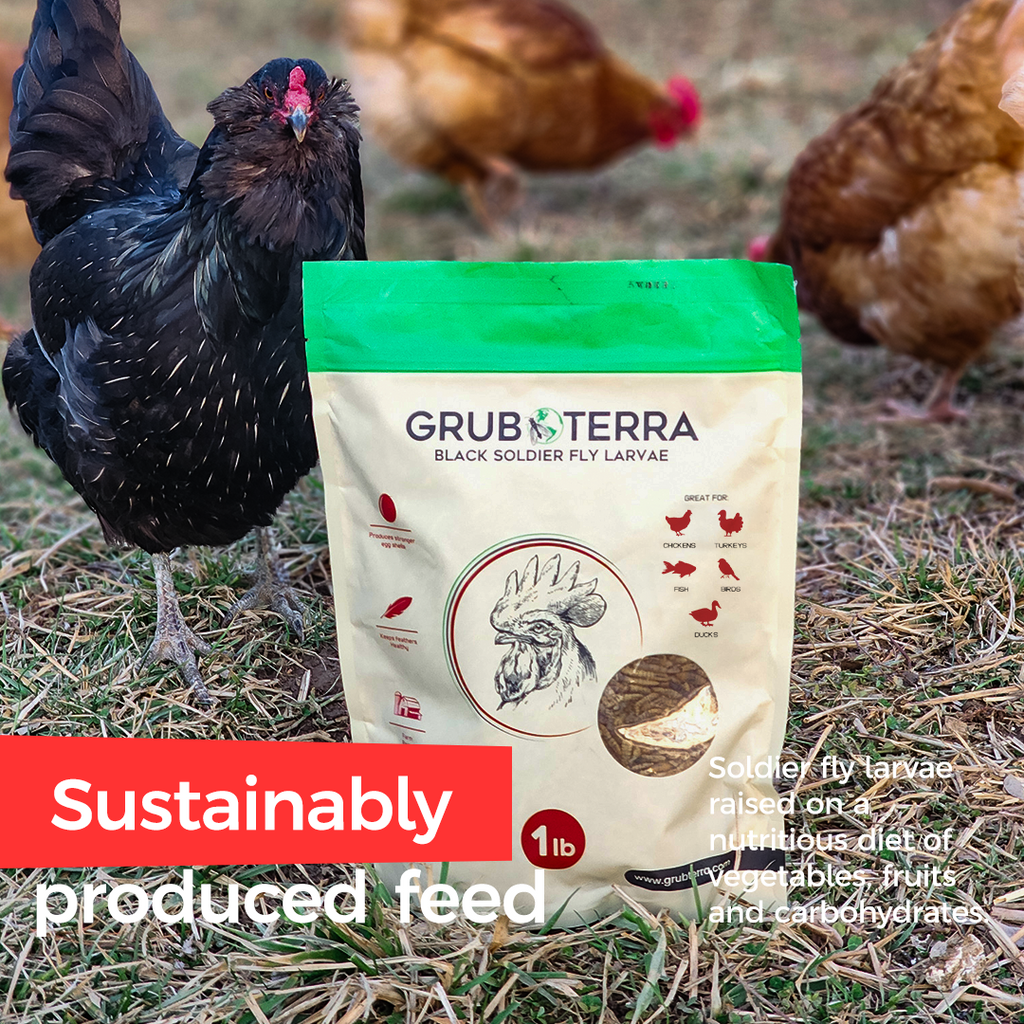 Dried Black Soldier Fly Larvae Bird Treats product image 5