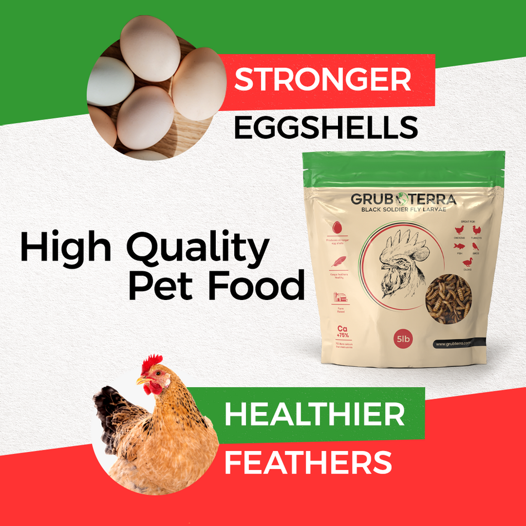 Dried Black Soldier Fly Larvae Bird Treats product image 6