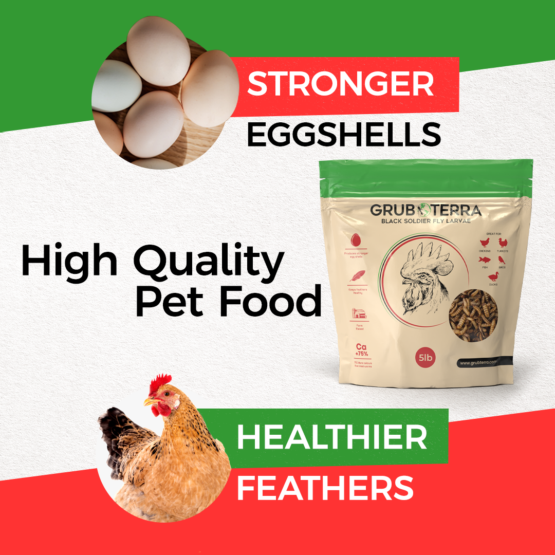 Dried Black Soldier Fly Larvae Bird Treats product image 6
