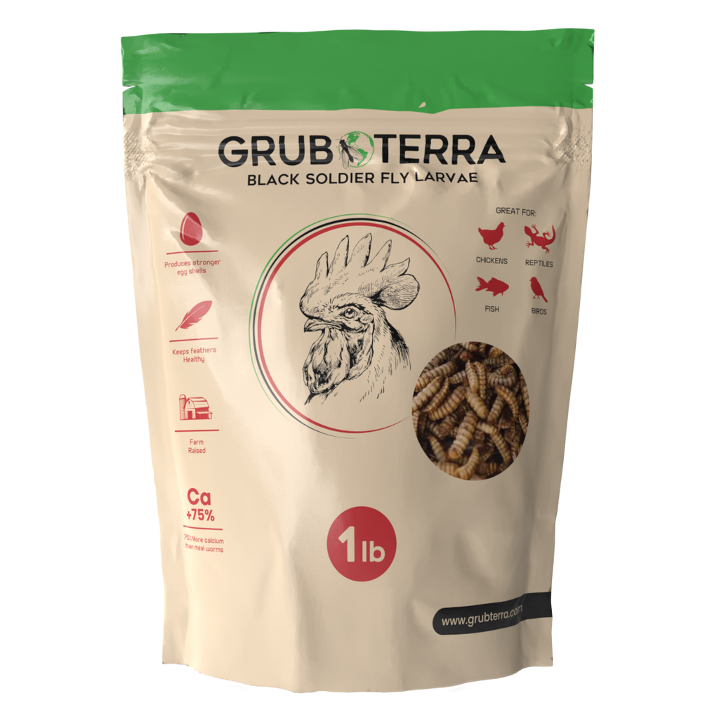 Dried Black Soldier Fly Larvae Bird Treats product image 8