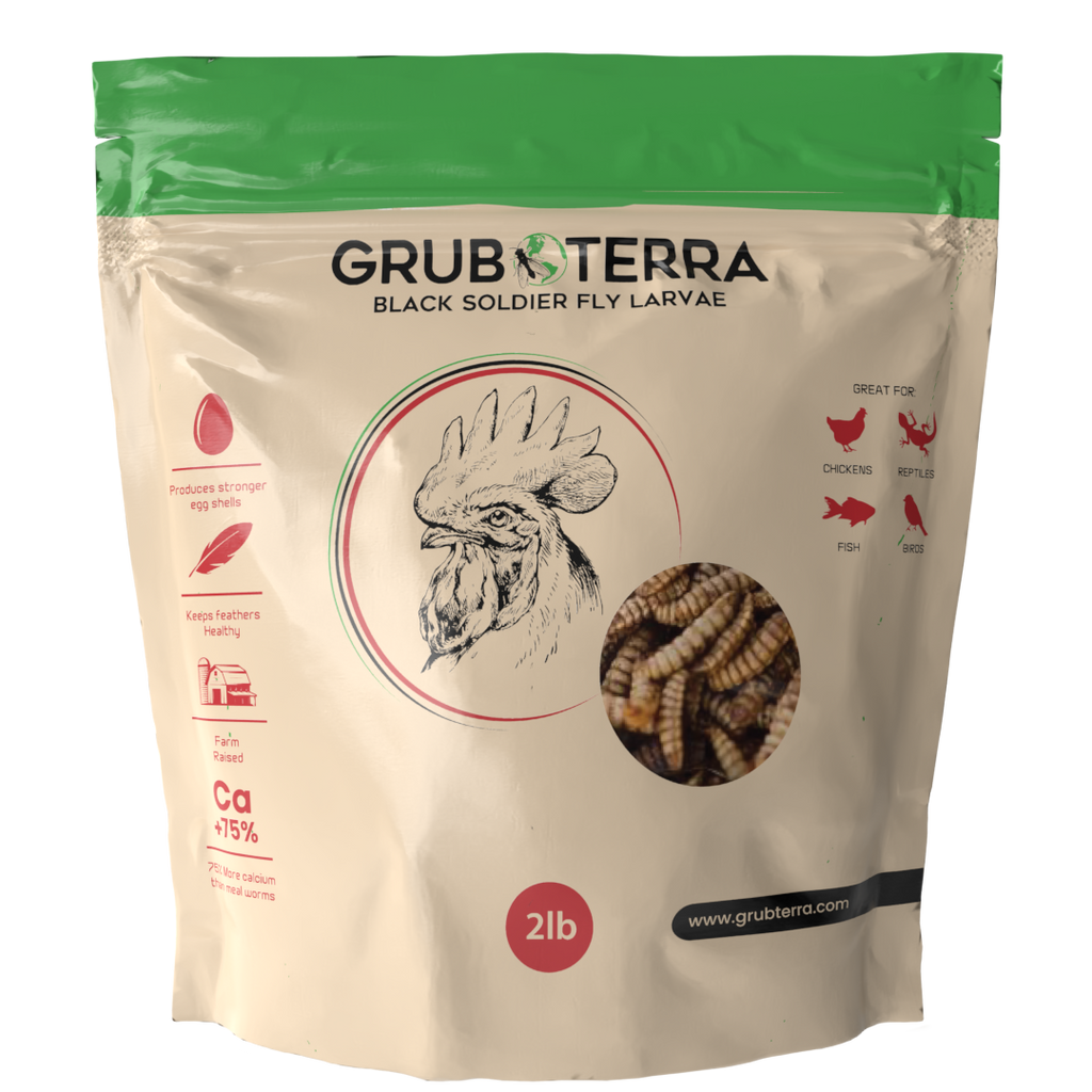 Dried Black Soldier Fly Larvae Bird Treats product image 9