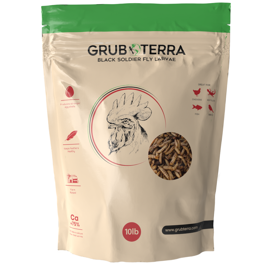 Dried Black Soldier Fly Larvae Bird Treats product image 10