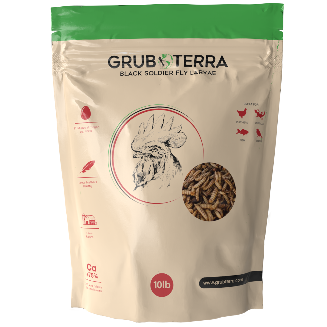 Dried Black Soldier Fly Larvae Bird Treats product image 10