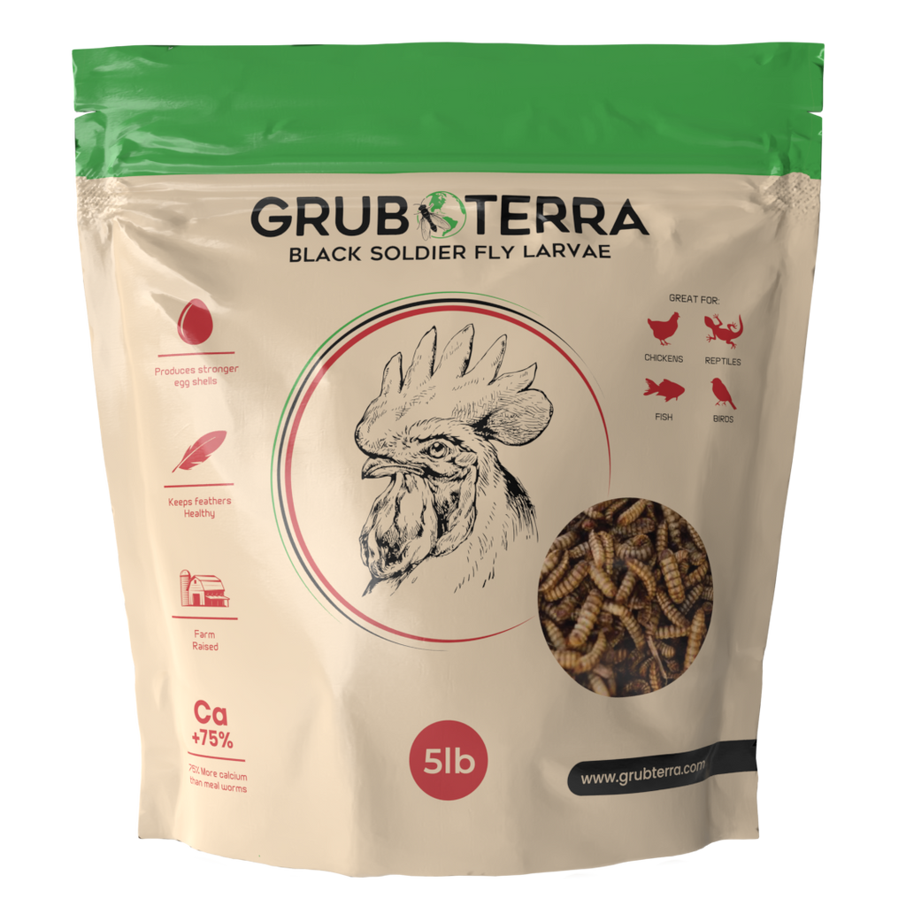 Dried Black Soldier Fly Larvae Bird Treats, 5 lb