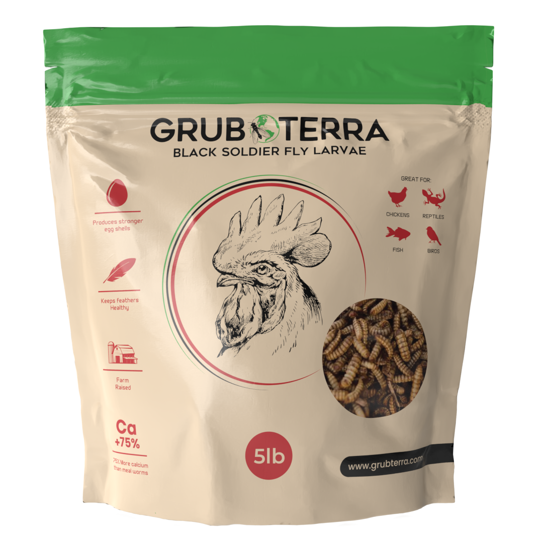 Dried Black Soldier Fly Larvae Bird Treats, 5 lb