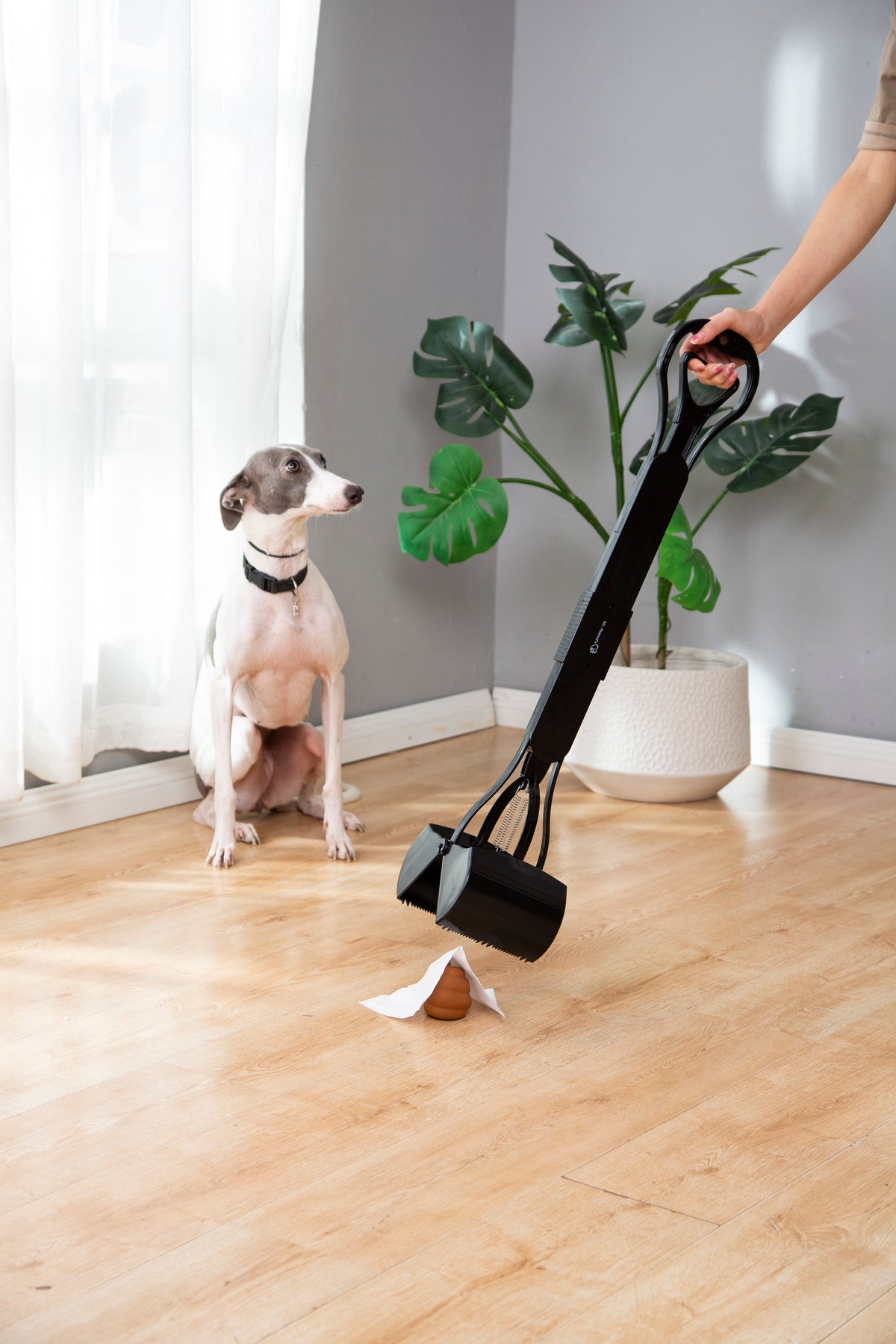 Pooper Scooper product image 23