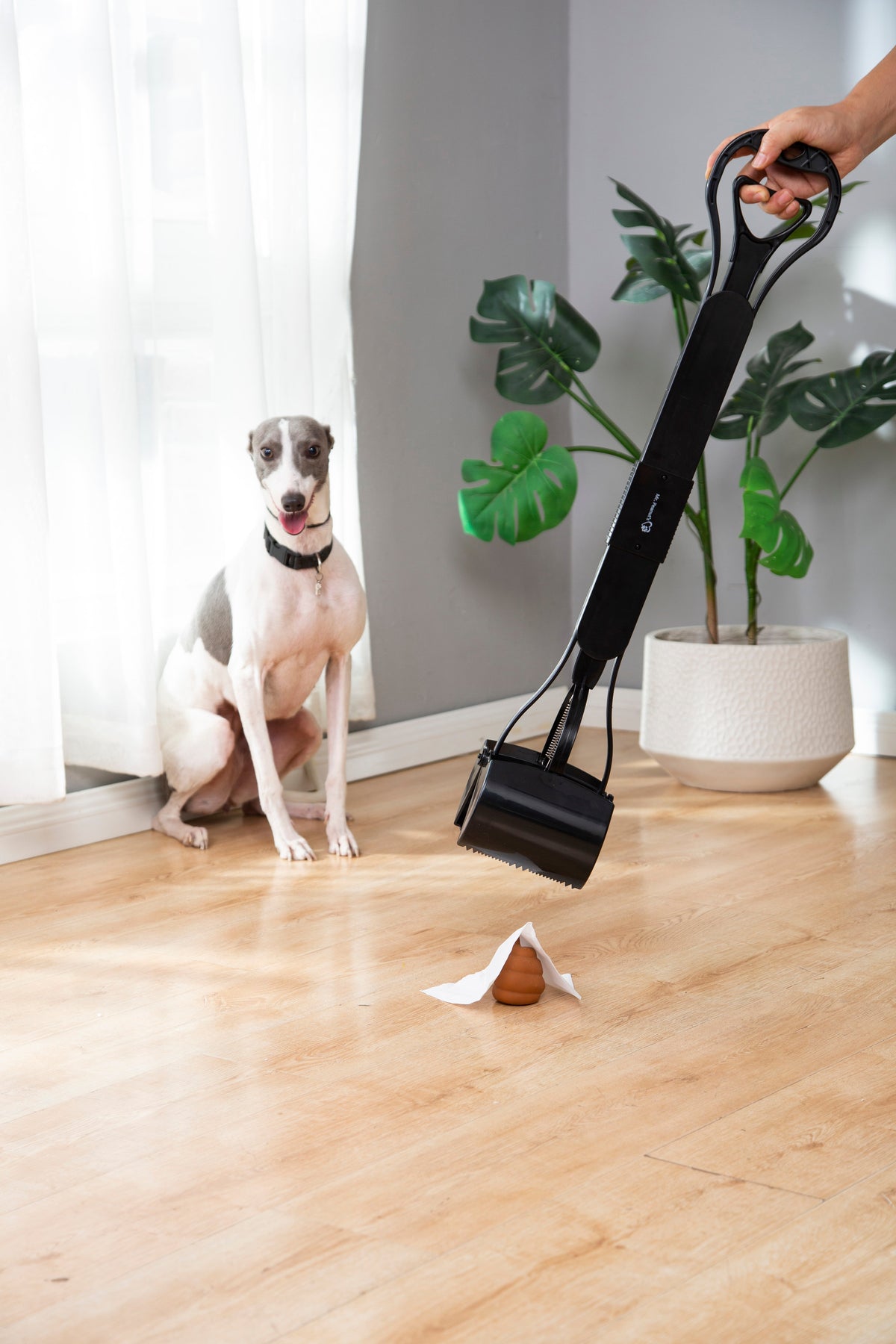 Pooper Scooper product image 24