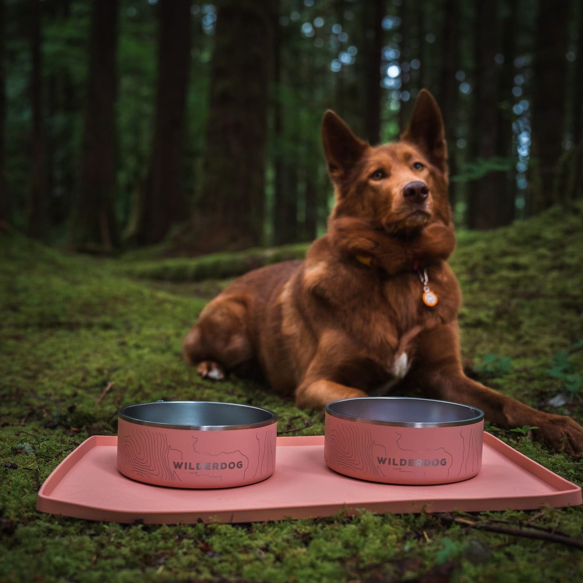 Silicone Dog Bowl Placemat product image 6