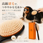 Dual-Sided Pet Grooming Brush product image 5