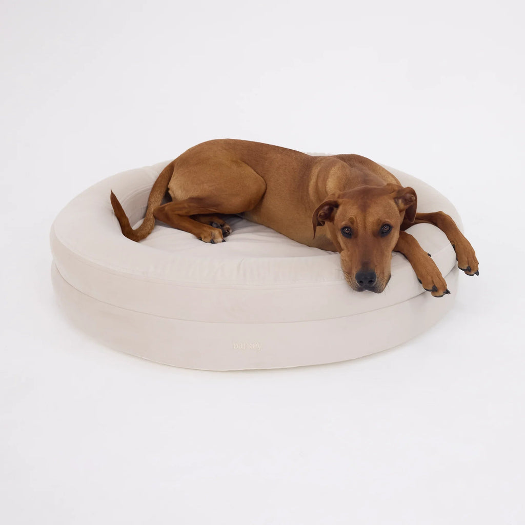 Round Orthopaedic Dog Bed product image 3