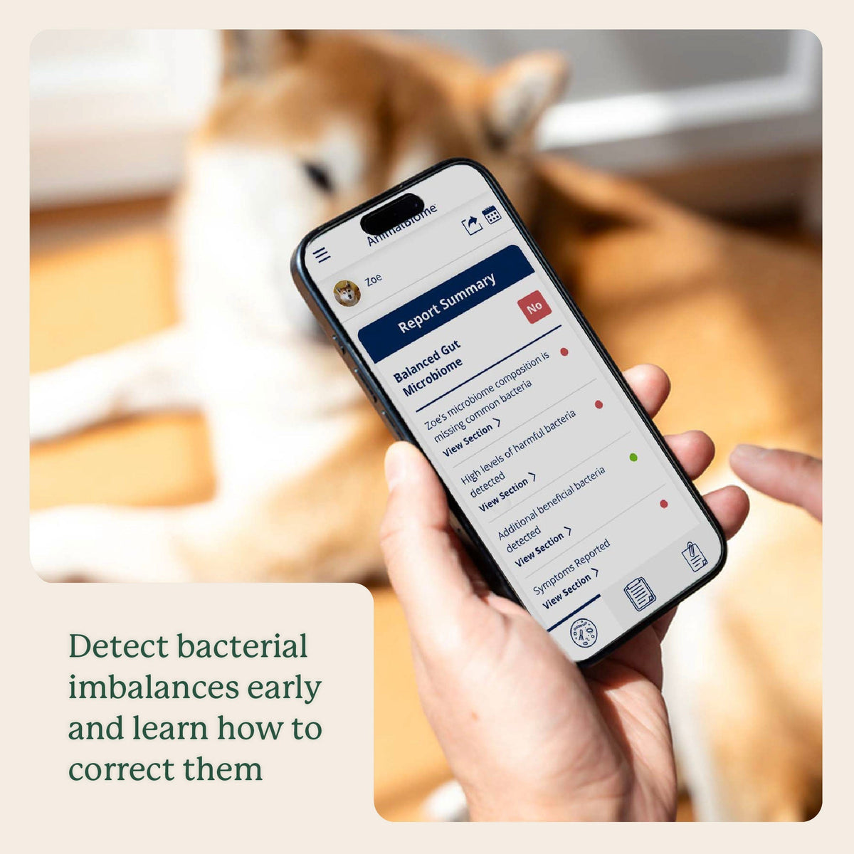 Dog Gut Microbiome Test Kit product image 7