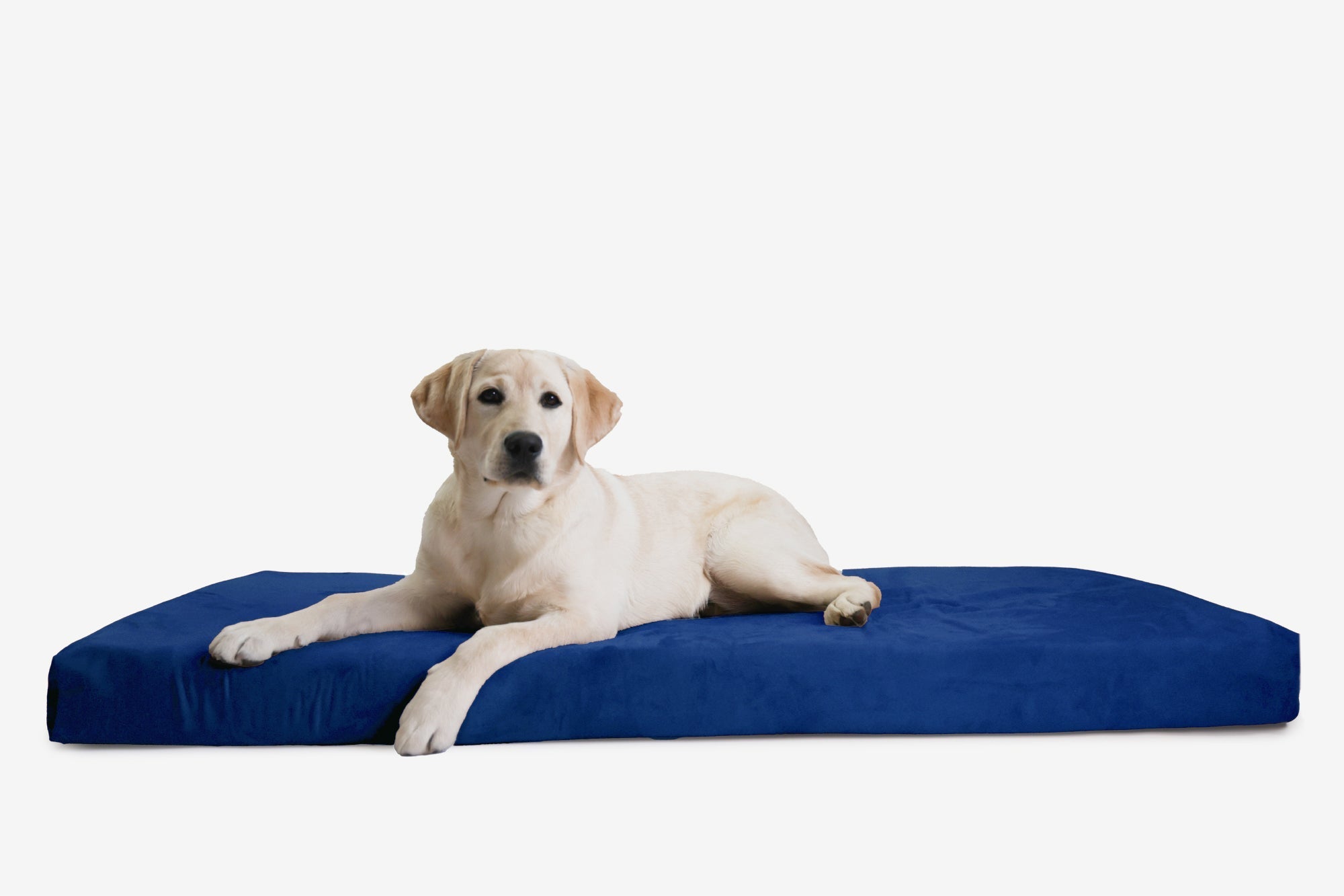 Orthopedic Dog Crate Bed product image 29