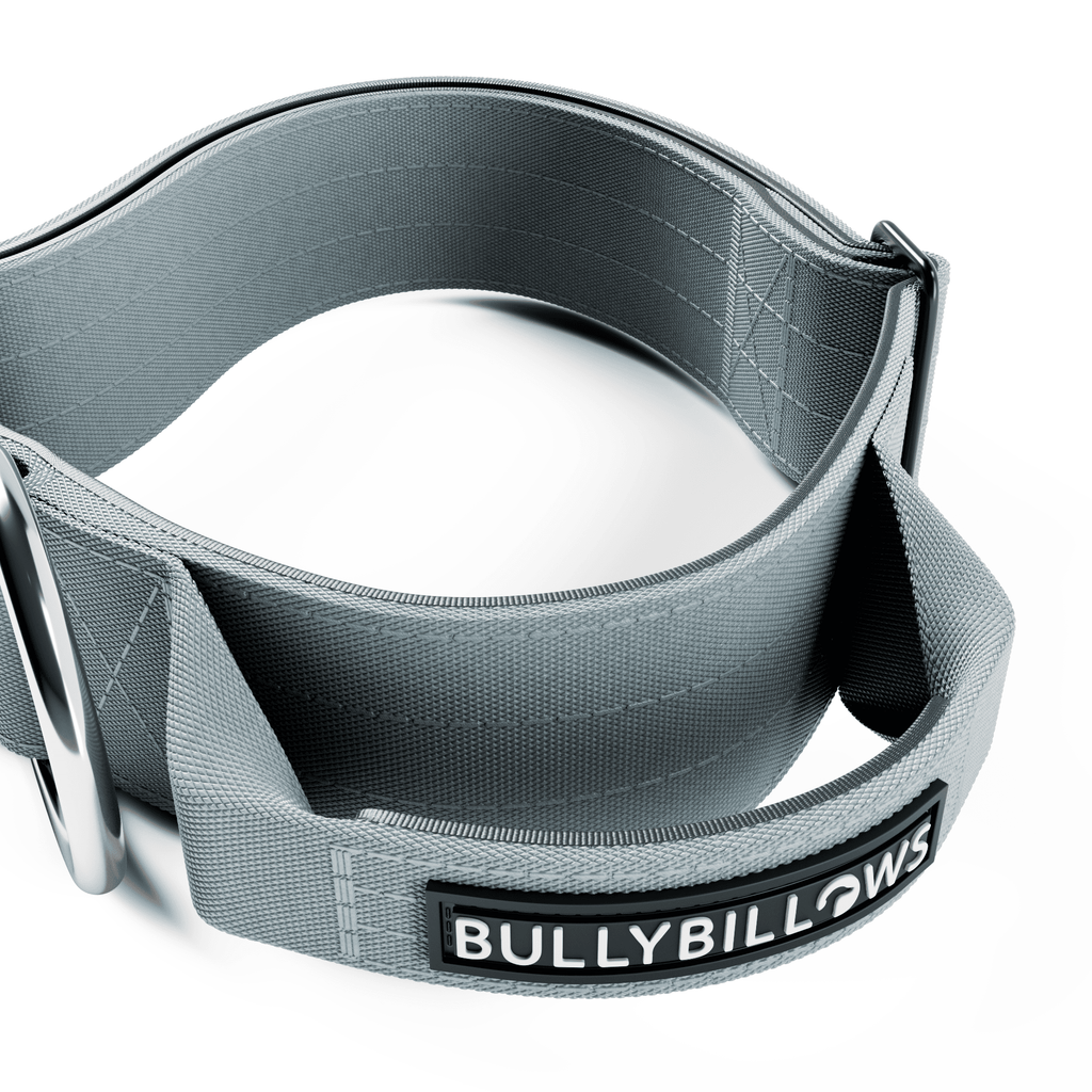 Wide Control-Handle Dog Collar product image 3