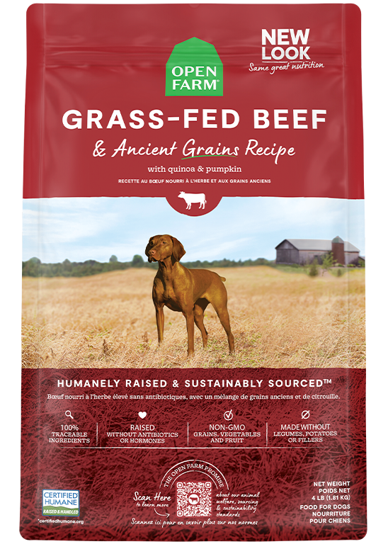 Dog Kibble product image 1