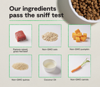 Dog Kibble product image 3