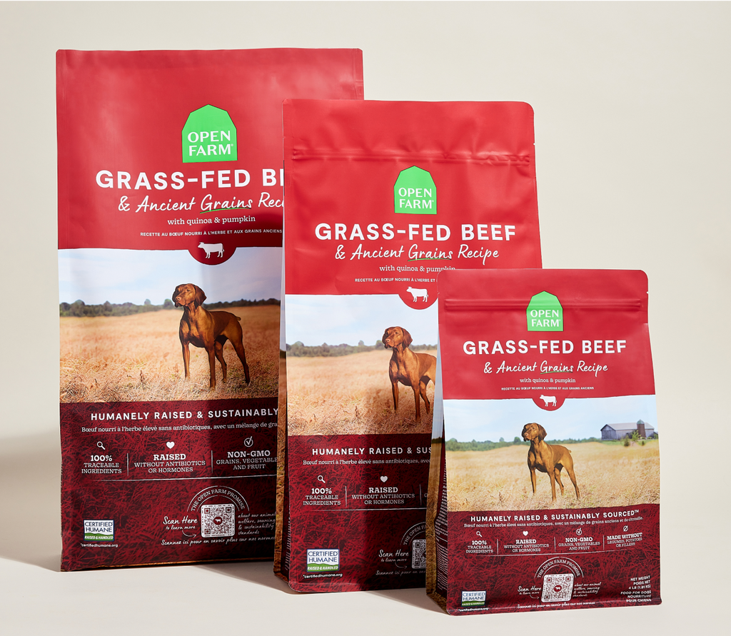 Dog Kibble product image 8