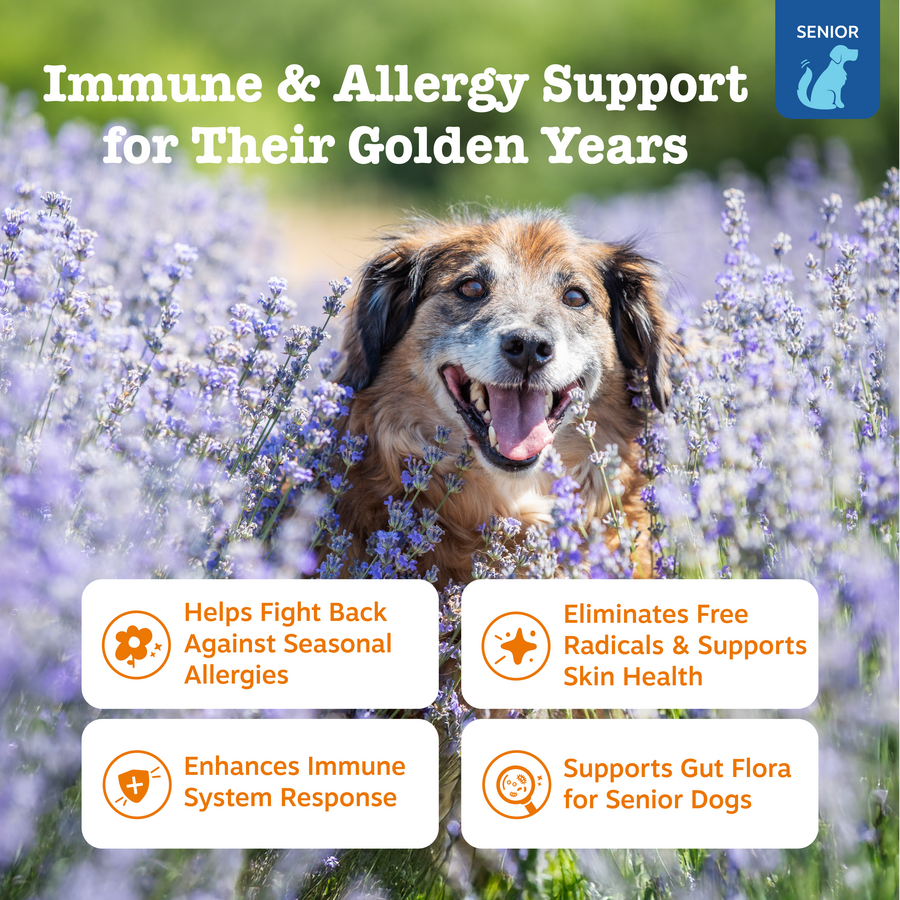 Pet Supplements product image 2