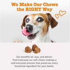 Pet Supplements product image 3