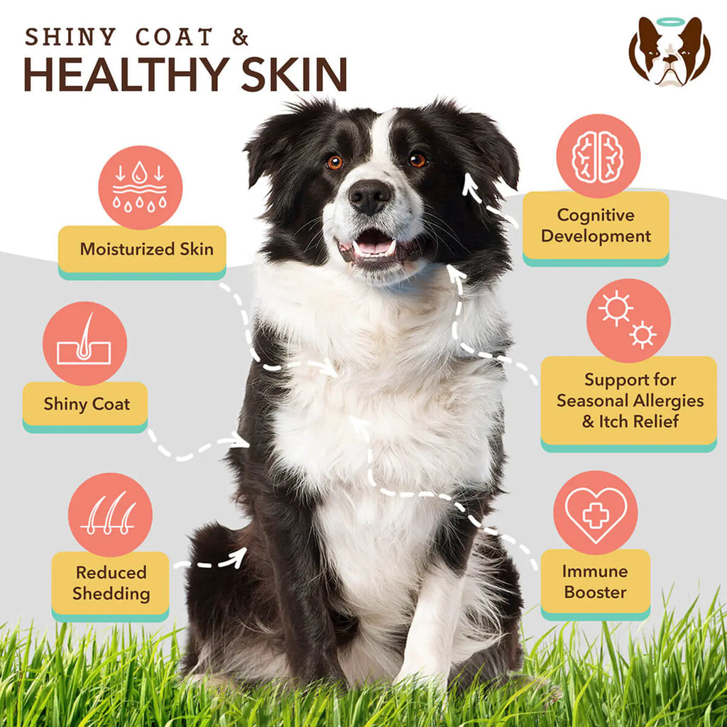 Skin & Coat Supplement product image 2