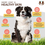 Skin & Coat Supplement product image 2
